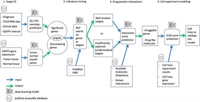 An algorithm for drug discovery based on deep learning with an example of developing a drug for the treatment of lung cancer